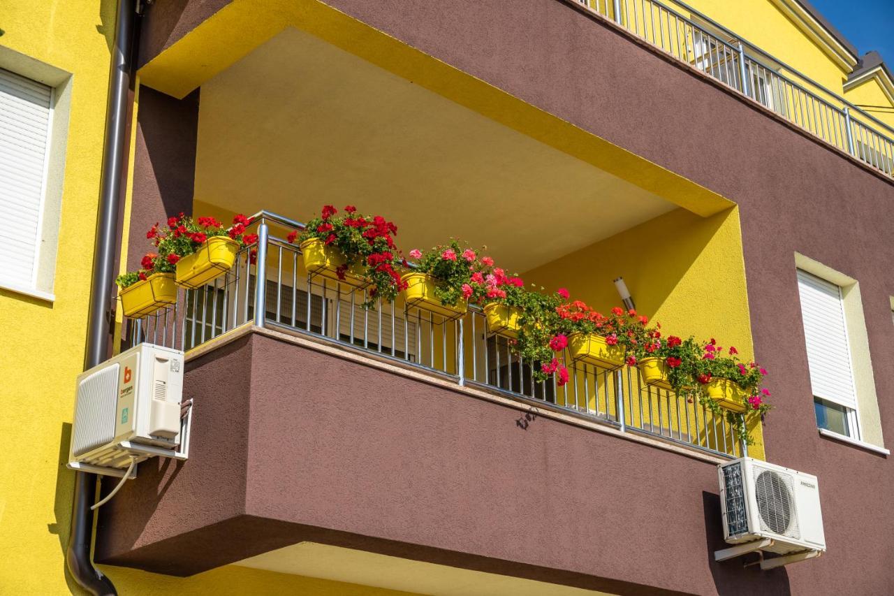 Kalanj Apartmani I Sobe بلغراد المظهر الخارجي الصورة